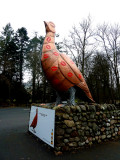 Scotland - Perth & Kinross - Crieff - The Famous Grouse Whisky Distillery 