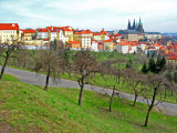 Czech Republic - Prague - Prazsky hrad Prague Castle from Petrin Park