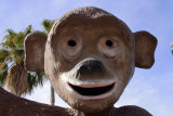 Monkey