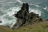 Some Beach Outcrop