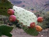 Riogordo, Spain