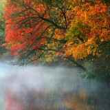 Autumn fog