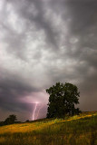 Morning storm