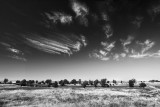 Dancing clouds