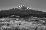 Mount Shasta