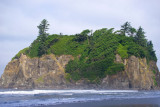 ruby beach 3 copy.jpg