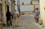 IMG_6376 Where do donkey owners pee?  Quequea, Peru,May 17