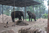 Elephant Stables 4