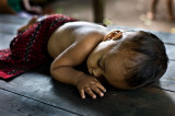 Getting an afternoon nap on the outdoor table of a remote pepper farm. L1014739.jpg