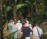 Praslin Island Valle de Mai
