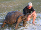 Aldabra Giant Tortoise, Picard