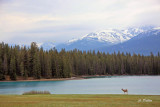 At The Lake