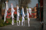 laundry day in burano island