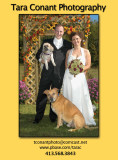 weddings