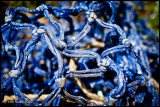 Blue Fish Net