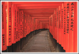 Fushimi Inari Shine
