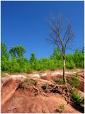 Cheltenham Badlands