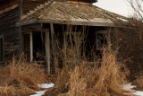 saskatoon lake homestead