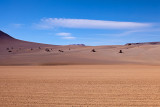 Desert Ladies Valley: Salvatore Dali Desert