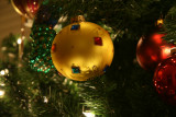 IMG_2944.JPG