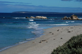 Seal Bay