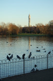 london_037.jpg