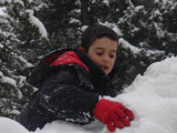 Ty Snowball fight