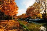 canal_midi_02_.JPG