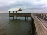 IMG_0210.jpg