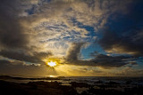 Bird with ocean sunset  _MG_2552.jpg