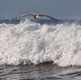 Air surfing  _MG_5681.jpg