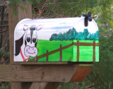 a happy cow