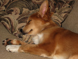A Girl Needs Her Rest