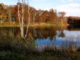 A Favorite Area