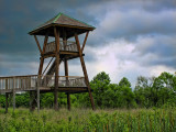 The Lookout Tower
