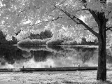 B&W Infrared