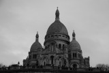 DSC_1480.JPG