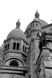 DSC_1491.JPG