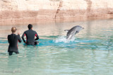 ATLANTIS DOLPHIN ADVENTURE-1509.jpg