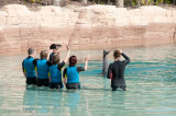 ATLANTIS DOLPHIN ADVENTURE-1534.jpg