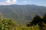 View from the climb to Clingans Dome