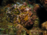 IMG_4622 copy.jpg