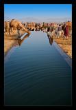 Water, the giver of life