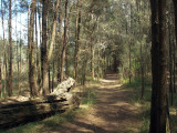 On the walk around Long Neck Lagoon