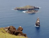 Island where the sooty terns egg was sought