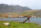 Grytviken