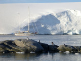 Yacht arriving at Port Lockroy