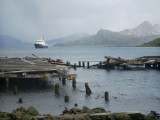 Polar Pioneer in Grytviken Harbour - 4