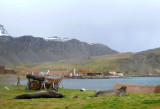 Grytviken CBD