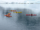 Kayakers in Antarctica